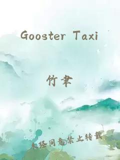Gooster Taxi